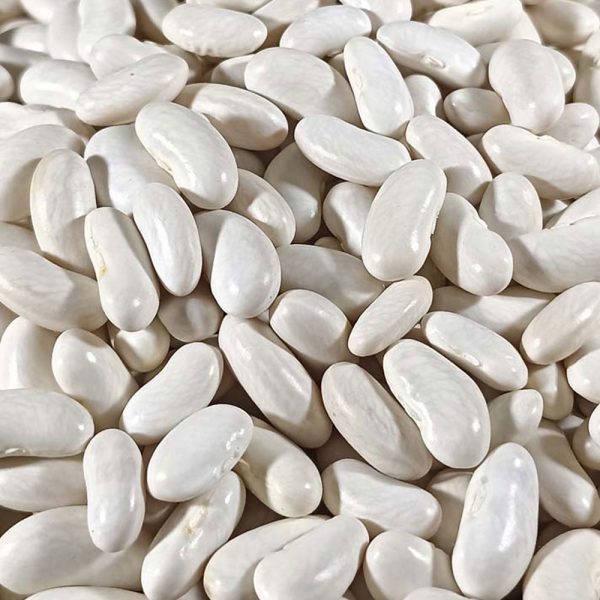 kuru-fasulye-close-up